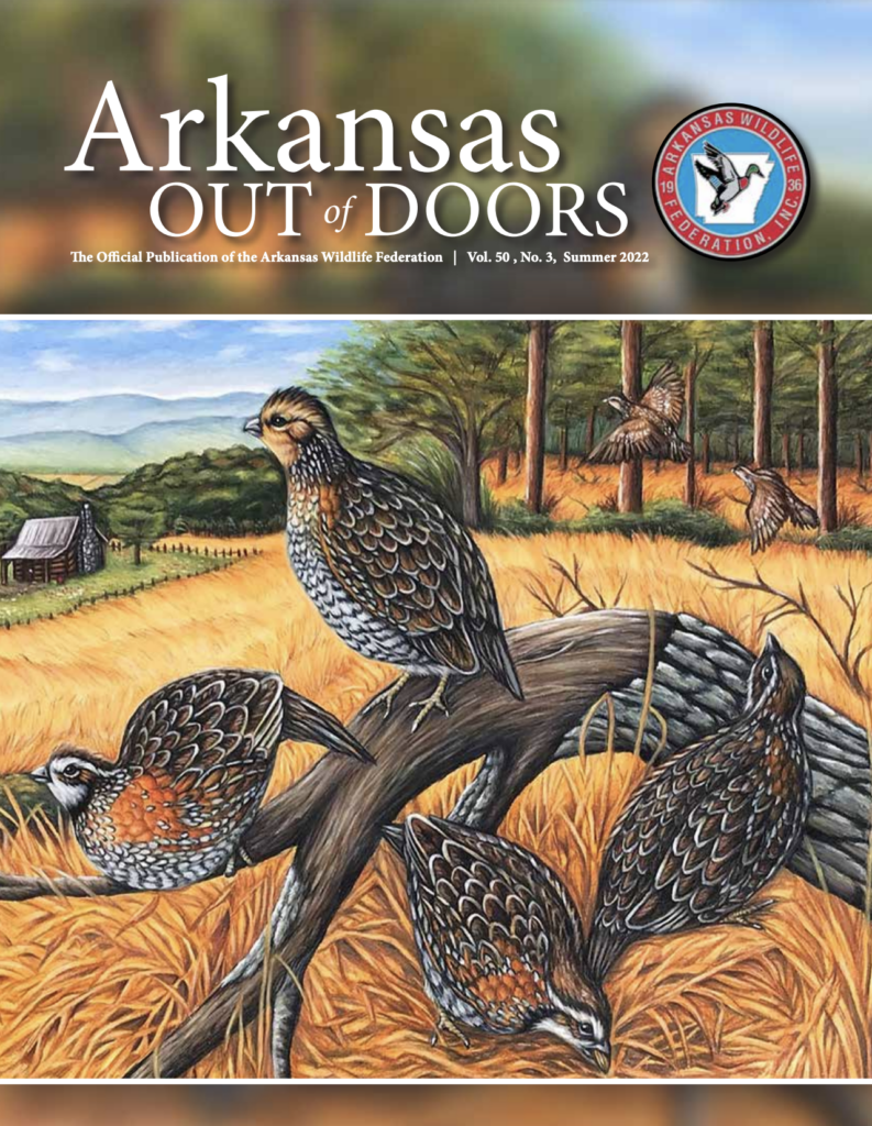 Summer Edition of Arkansas Out of Doors
