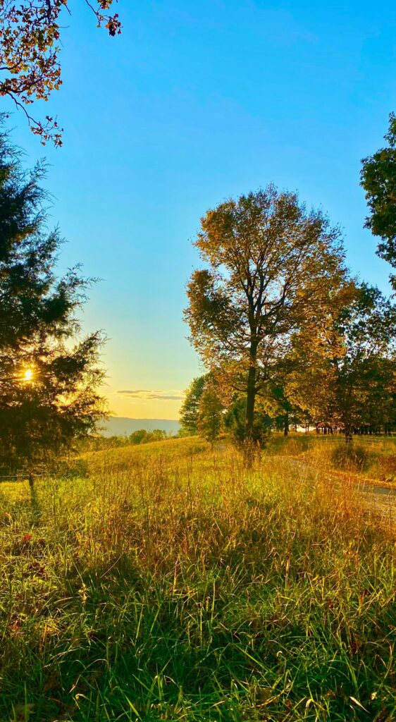 arkansas farm bill