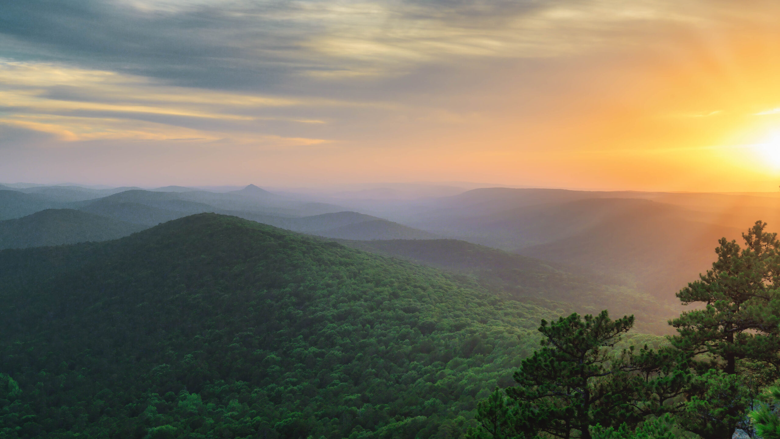 Read more about the article Exploring Arkansas’ Public Lands for National Public Lands Day