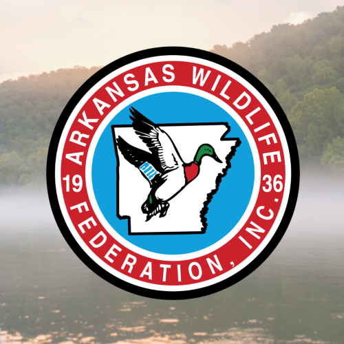 Cover page PLLA web ONLY